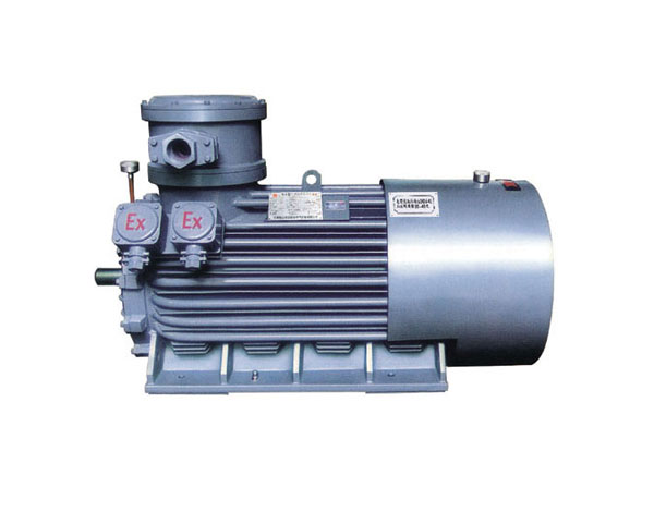 高壓隔爆三相異步電動(dòng)機(jī)(jī)